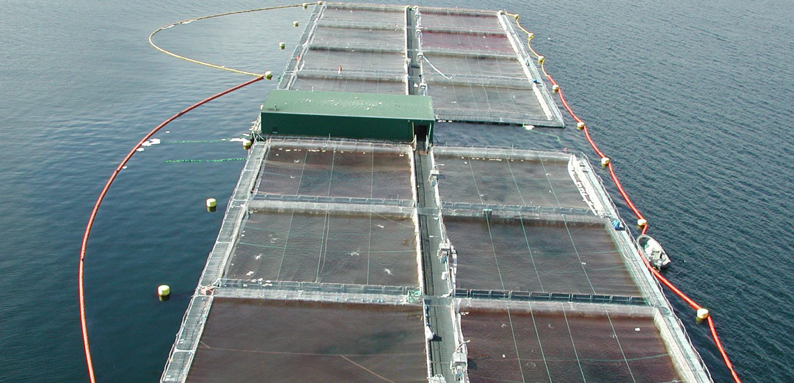 Fish Farm Ecological Oil Spill Boom Fish Farm Ecological Oil Spill Boom