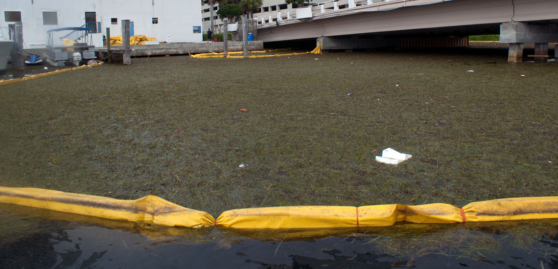 Boom ya Mimea ya Maji 3 Aquatic Plant Boom 2