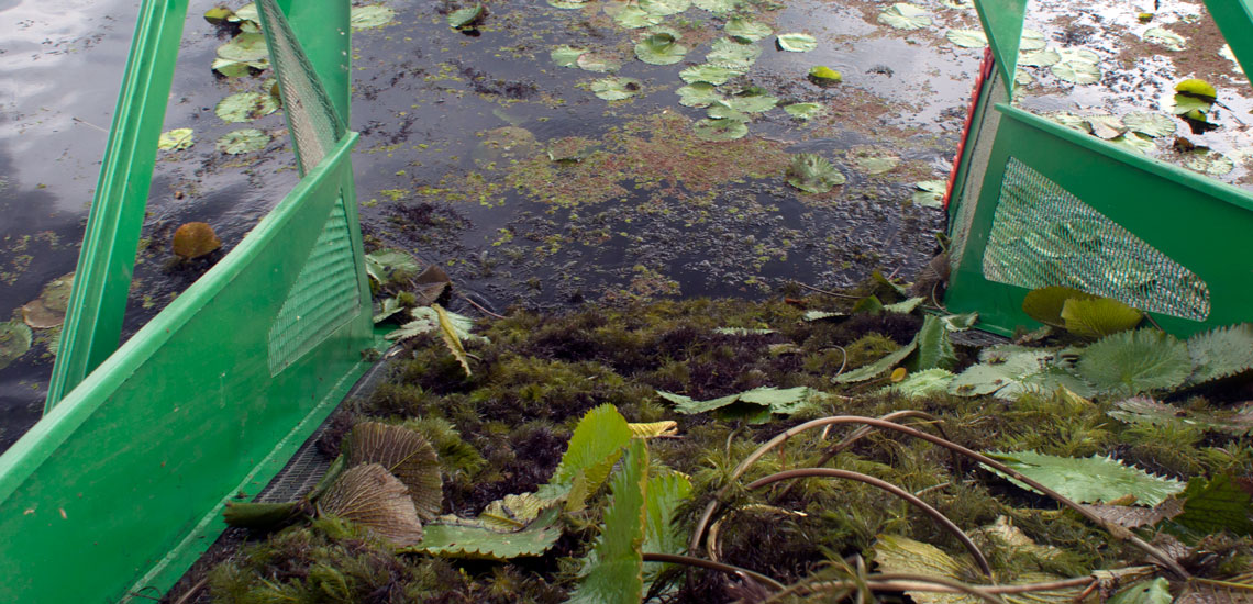 Aquatic Weed Harvester (11) Aquatic Weed Harvester (11)