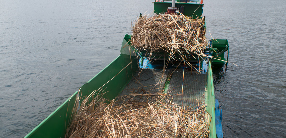 Aquatic Weed Harvester (3) Aquatic Weed Harvester (3)