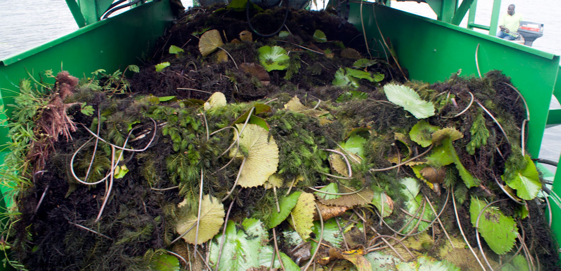 Aquatic Weed Harvester (5) Aquatic Weed Harvester (5)