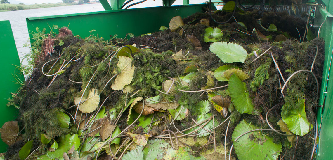 Aquatic Weed Harvester (7) Aquatic Weed Harvester (7)