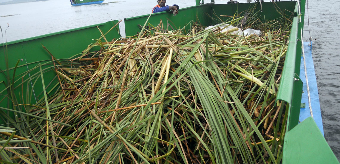 Aquatic Weed Transport Barge (10)