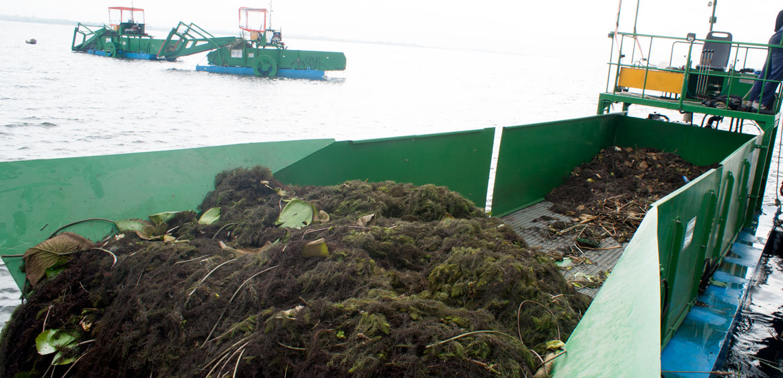 Aquatic Weed Transport Barge (11)
