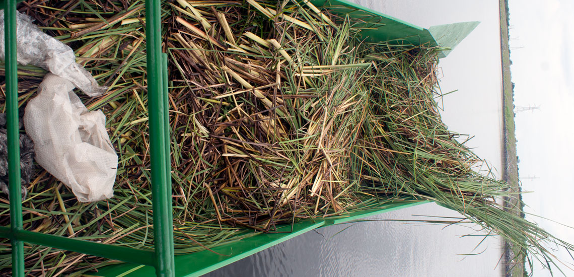 Aquatic Weed Transport Barge (6)