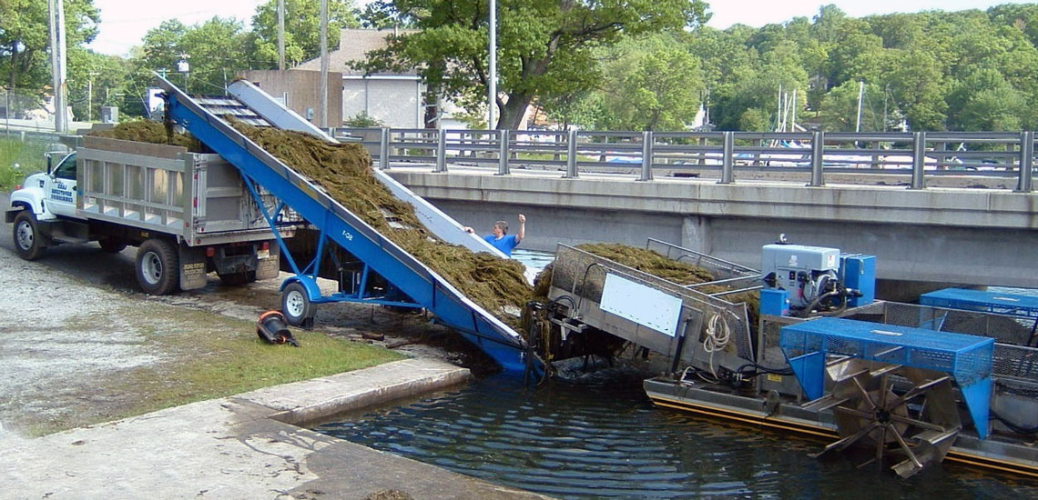Shore Conveyor (5)