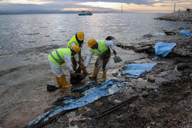 Oil Spill Response Shoreline Land