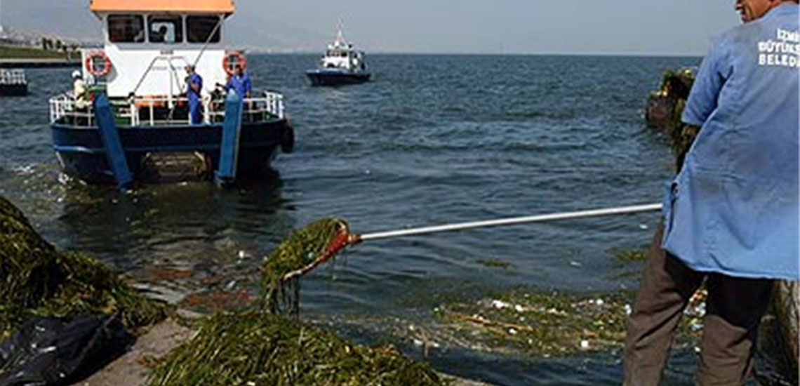 Trash Skimmer Boat 2