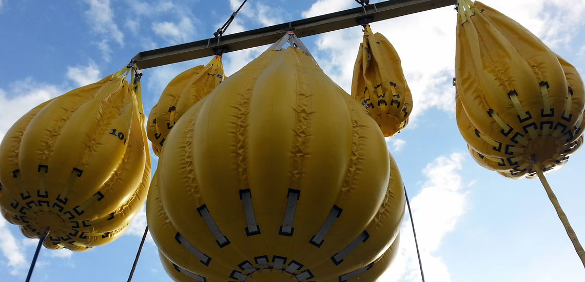 WATER CRANE TEST BAG